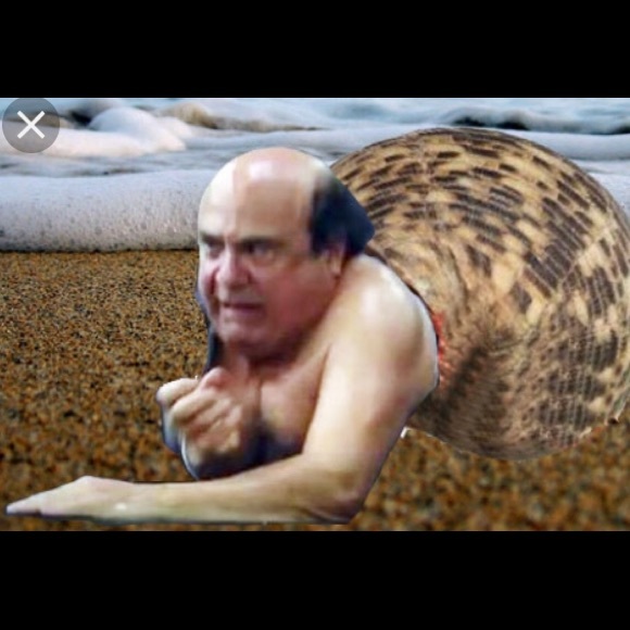 Meet your Posher, Claire - Picture 3 of 8